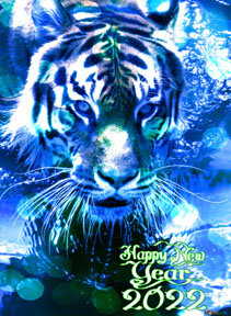 2022 the year of the water tiger